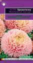 Астра Хризантелла Жемчужный восторг Гав