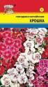 Гвоздика китайская Крошка УУ