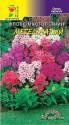 Флокс Многолетний метельчатый смесь ЦС