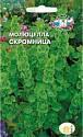 Молюцелла гладкая Скромница Сед
