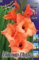 Гладиолус Петер Пирс 12/14 100 шт