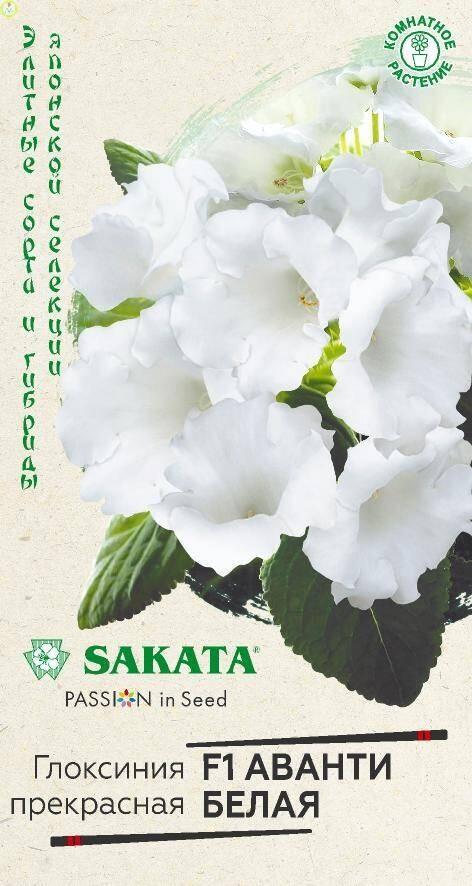 Глоксиния Аванти белая F1 Гав