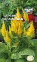Целозия Фламандец Сед