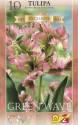 Тюльпан Грин Вейф попугайный 10 шт 12/+