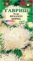 Астра Краллен Брима кремово-белая Гав