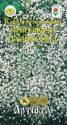 Гипсофила Паникулята Арт