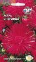 Астра Сперанца игольчатая малиновая Сед