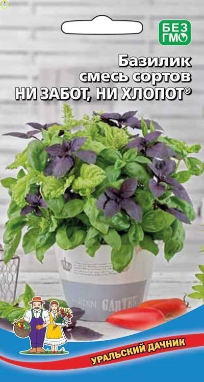 Базилик Ни забот, ни хлопот - смесь сортов УД