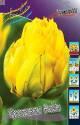 Тюльпан Тропикал Вейв 11/12 100 шт