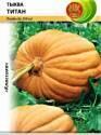 Тыква Титан НК