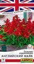 Сальвия Английский маяк сверкающая Аэл