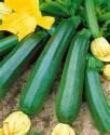 Кабачки Диамант F1 СиО