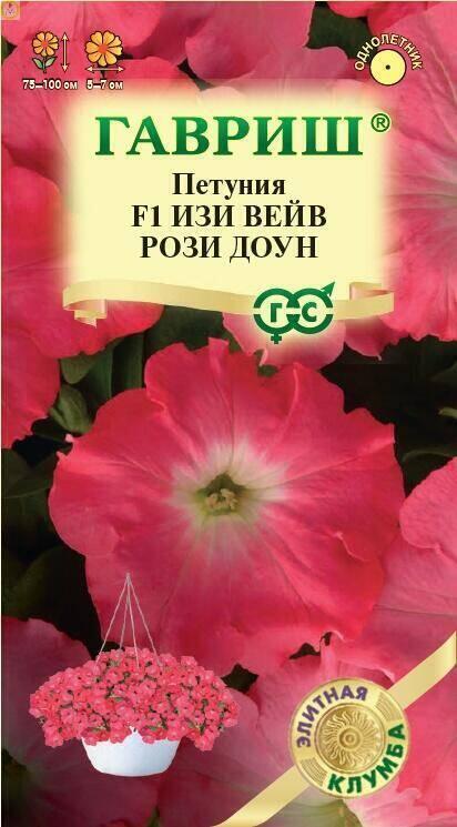 Петуния Изи Вейв рози доун суперкаскад. F1 Гав