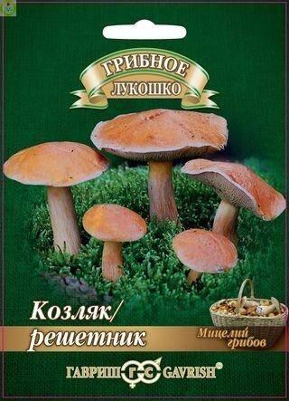 Козляк Решетник на зерновом субстрате 15 мл Гав
