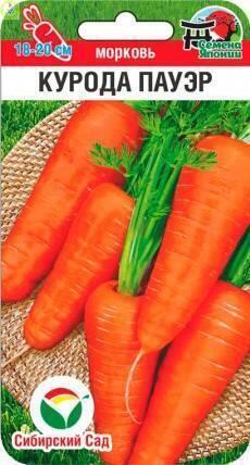 Морковь Курода Пауэр СС
