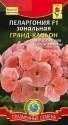 Пеларгония Гранд-каньон зональная F1 Плз