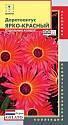 Доротеантус Ярко-красный (серия Gelato) Плз