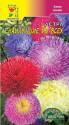 Астра Смесь сортов наилучшие из всех ЦС