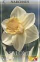 Нарцисс Сейлом 12-14 5 шт