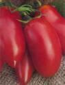 Томат Домашний перчик СС