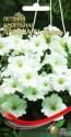 Петуния Лавина белая ССО