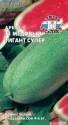 Арбуз Медовый гигант супер Сед