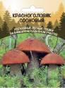 Грибы Красноголовик сосновый УД