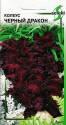 Колеус Черный дракон ССО