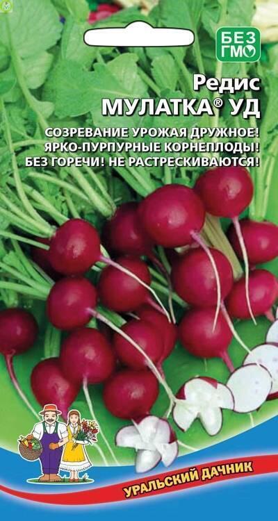 Редис Мулатка УД