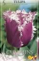 Тюльпан Камминс бахромчатые 5 шт 12/+