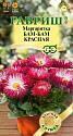 Маргаритка Бам-бам красная серия Элитная клумба Гав