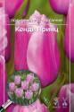 Тюльпан Кенди Принц 11/12