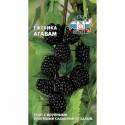 Ежевика Агавам Сед