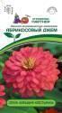 Цинния Абрикосовый Джем махровая серия Барышня-крестьянка Пар