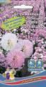 Астра Румяное солнышко меняющая цвет УД