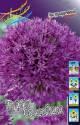 Лук декор.aflatunense Purple Sensation 12/14 50 шт