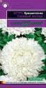 Астра Хризантелла Снежный восторг Гав