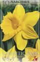 Нарцисс Гигантик Стар 12-14 10 шт