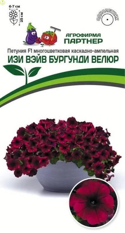 Петуния Изи Вэйв Бургунди велюр F1 Пар