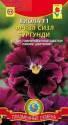 Виола Фриззл Сиззл F1 бургунди Плз