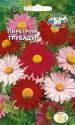 Пиретрум Трубадур гибридный смесь Сед
