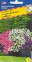 Калибрахоа Каблум смесь Прес