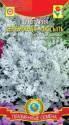Цинерария Серебряная россыпь Плз