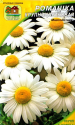 Ромашка крупноцветковая Наш