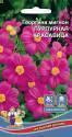 Георгина Пурпурная красавица мигнон УД