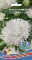 Астра Снежно-белая УД