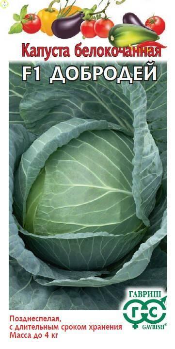 Капуста белокочанная Барыня F1 Гав