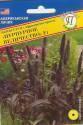 Пенисетум Пурпурное величество F1 Прес