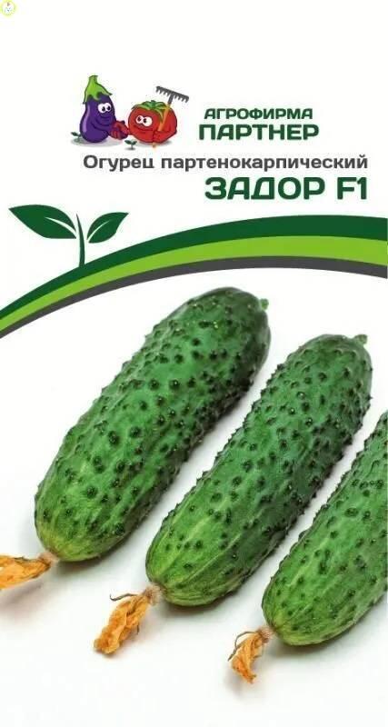 Огурец Задор F1 Пар