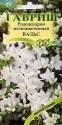 Рододендрон Вальс мелкоцветковый Гав